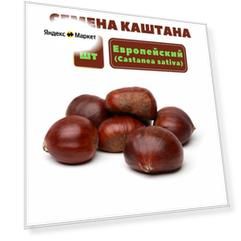 Каштан Европейский (лат. Castanea sativa) - семена 5 шт. для посадки осенью