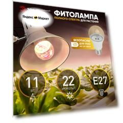 Фитолампа ЭРА FITO-11W-Ra90-E27 светодиодная для растений полный спектр 5850К 11Вт