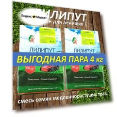 Газонная трава 2 шт. семена ЛИЛИПУТ 2 кг на 80 м2 многолетний низкорослый газон