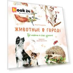 Животные в городе. Где найти и как узнать