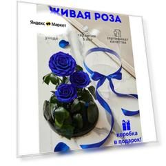 Роза в колбе живая, вечная, стабилизированная "Тройная PR" 32см, подарок маме, женщине, на 8 марта , на день рождения, Цвет: Синий