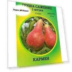 Груша саженец Кармен 1 штука