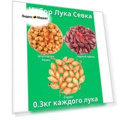 Набор Лук Севок 0.3 кг