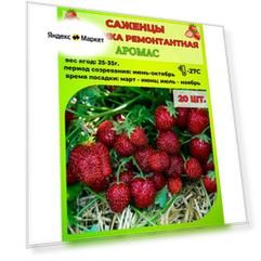 Клубника ремонтантная, саженцы 20 шт.