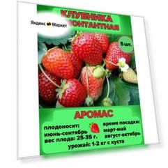 Клубника ремонтантная, саженцы 5 шт.