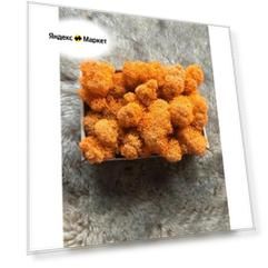 Мох стабилизированный ягель для декора, дизайна, озеленения