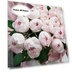 Роза флорибунда Пиони Пинк (Peony Pink) 2 шт / саженец розы, пионовидные, ароматные