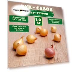 Лук севок "Стурон" фракция 14-21 мм, сетка 1 кг. Отличается ранним созреванием и неприхотливостью к условиям выращивания. Высокая урожайность и устойчивость к заболеваниям и вредителям