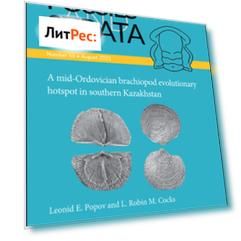 A Mid-Ordovician Brachiopod Evolutionary Hotspot in Southern Kazakhstan