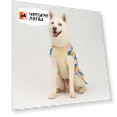 Petmax Свитер с ромбами для собак, 5XL, бело-синий