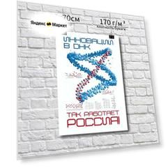 Постер "Инновации в ДНК так работает Россия!"