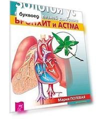 Золотой ус против болезней дыхания. Бронхит и астма