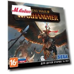 Видеоигра для PC .