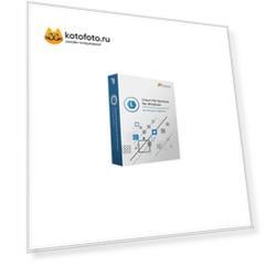 Linux File Systems for Windows by Paragon Software [PSG-1050-PEU-PL] (электронный ключ)