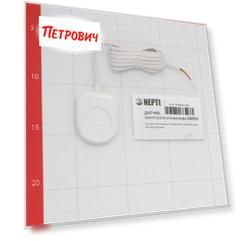 Датчик контроля протечки воды Neptun SW005 (NEPSW005) 12-24 В