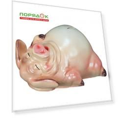 Копилка Хрюшка на спине, 300