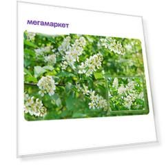 Салфетка "Черёмуха", 39х25 см