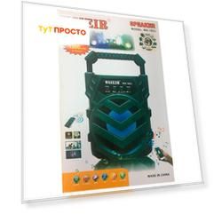 Колонка ws-1803