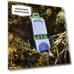 Набор растущих карандашей "Итальянские травы" чернографитные, 3 шт.