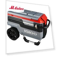 Изотермический контейнер Igloo