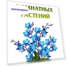 Книга Тайная Сила комнатных Растений