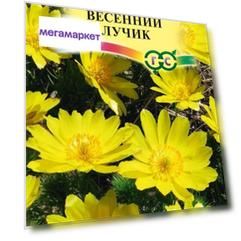 Семена адонис Гавриш Весенний лучик 1026994432 1 уп.