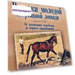 Книга выездка молодой спортивной лошади. От воспитания жеребенка до первого соревнования
