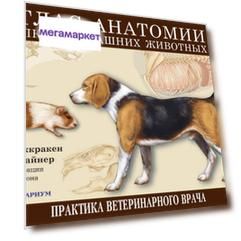 Книга Атлас анатомии мелких домашних животных