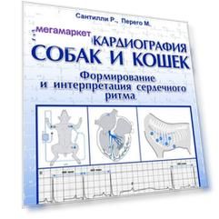 Книга Электрокардиография собак и кошек. Формирование и интерпретация сердечного ритма