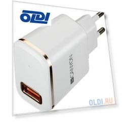 Зарядное устроиство от сети питания CANYON Universal 1xUSB AC charger (in wall) with over-voltage protection, plus lightning USB connector, Input 100V