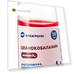 цианокобаламин раствор витамина в12 для собак и кошек 10 мл раствор для инъекций (1 шт)