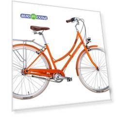 Bear Bike Marrakesh (2020)
