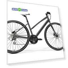 Crossway Urban 20-D Lady Fed (2020)