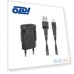 Сетевое зарядное устройство RIVAPOWER VA4115 BD2 черное 1,0A / 1USB, с кабелем MFi Lightning