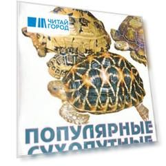 Популярные сухопутные черепахи.(цвет)
