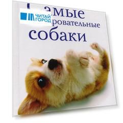 Самые очаровательные собаки