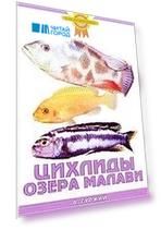 Цихлиды озера Малави
