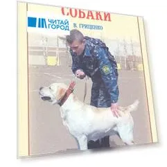 Аквар.Верн.др.Послушание собаки