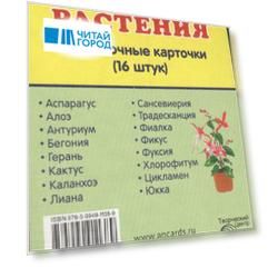 Дем. картинки СУПЕР Комнатные растения.16 раздаточных карточек с текстом (63х87мм)