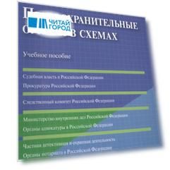 Правоохранительные органы в схемах: учебное пособие