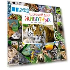 Красочный мир животных