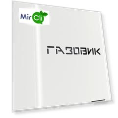 Напольный газовый котел Лемакс