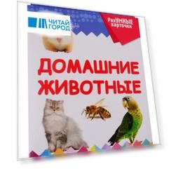 Домашние животные. 20 карточек