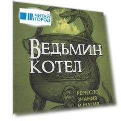 Ведьмин котел. Ремесло, знания и магия ритуальных сосудов