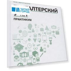Бухгалтерский учет: практикум  дп