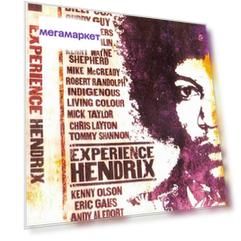 Various Artists Experience Hendrix (DVD)