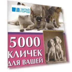 5000 кличек для вашей собаки