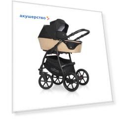 Коляска Expander Elite 2 в 1