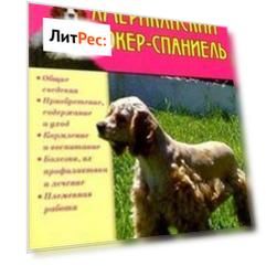 Американский кокер-спаниель