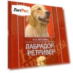Лабрадор ретривер